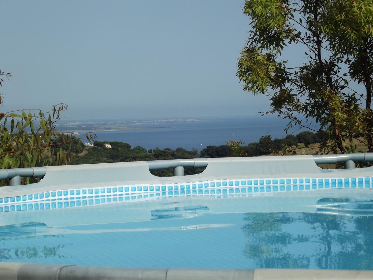 Bed & Breakfast La Volpe E L'Uva Santa Marinella Kültér fotó