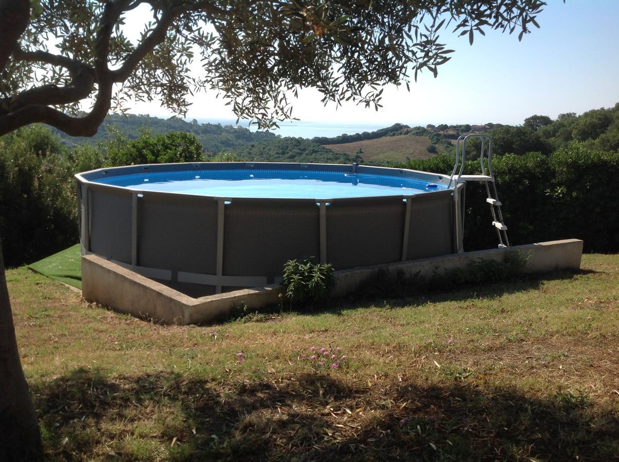 Bed & Breakfast La Volpe E L'Uva Santa Marinella Kültér fotó